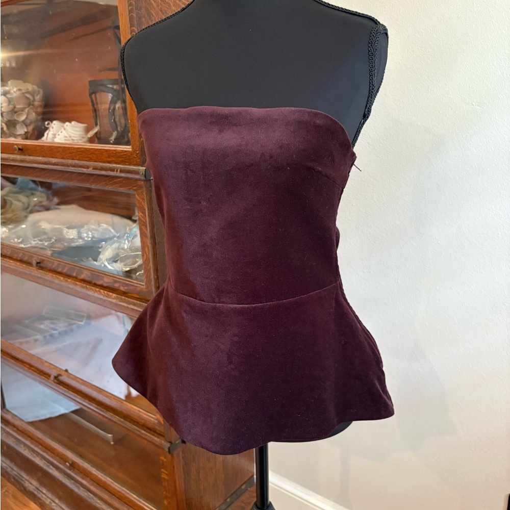 NWT Zara Burgundy Velvet Corset Top